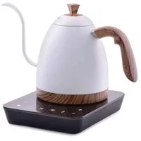 Brewista Artisan Variable Temperature Kettle 0.9L - Matte White