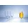 Villeroy & Boch Bierglas 0,3 l 2 St.