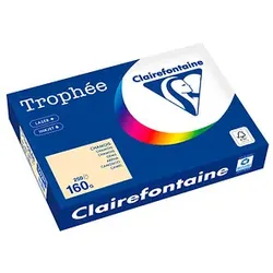 Clairefontaine Kopierpapier Trophée chamois DIN A4 160 g/m2 250 Blatt