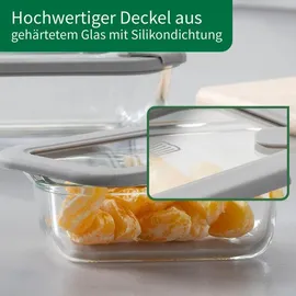 Fackelmann Vorratsdose 640 ml