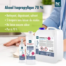 Höfer Chemie Isopropanol 70% 2 x 5 l