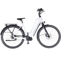 Gazelle Chamonix C5 HMS 2024 28 Zoll RH 53 cm Damen frozen blue