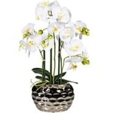 Orchidee weiß Kunststoff H: ca. 55 cm - weiß