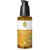 Primavera Gelenkwohl Einreibung