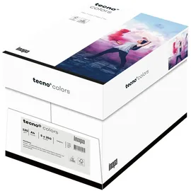 Inapa farbiges Druckerpapier, buntes Papier tecno Colors: 120 g/m2, A4, 1.250 Blatt (5x250), hellgrau