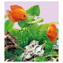 Juwel MultiLux LED Colour LED-Aquarienbeleuchtung 590 mm (14 Watt)