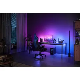 Philips Hue Play Gradient PC Lightstrip 24/27”