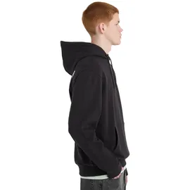 Element Picnic Hoodie Schwarz L