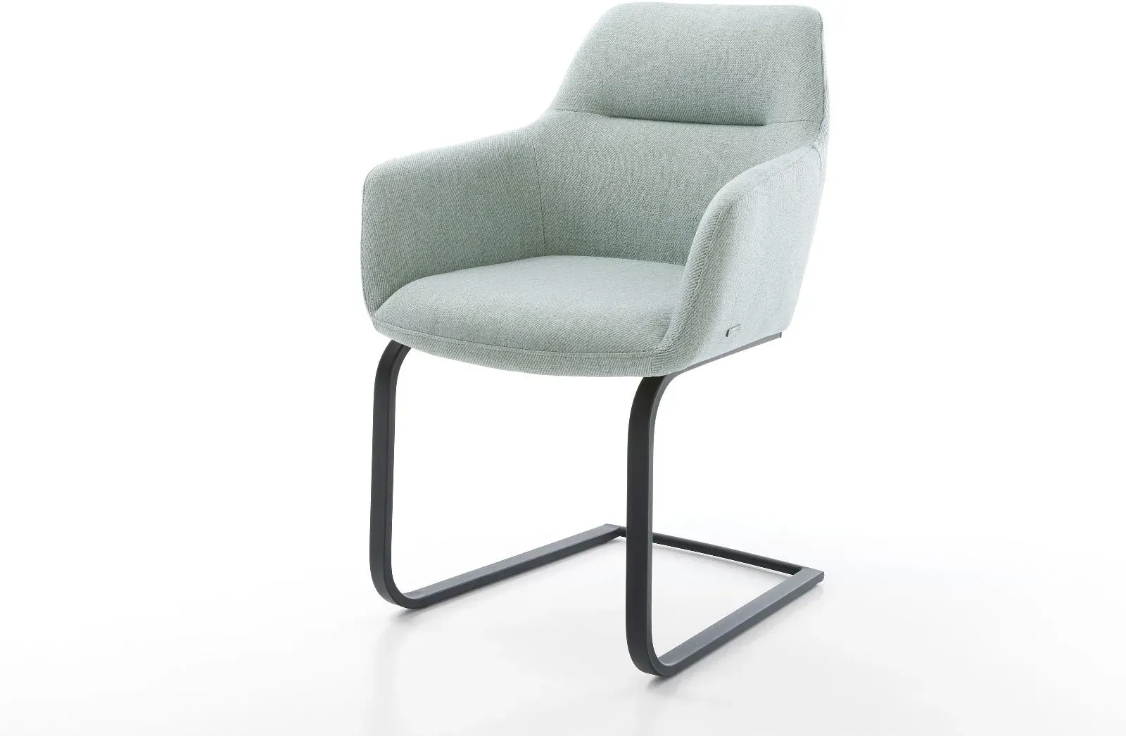 DELIFE Cantilever Pejo-Flex rayures Vert menthe pied cantilever plat noir, Chaises de salle à manger