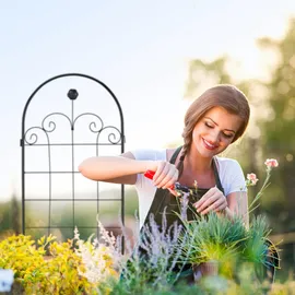 Relaxdays Rankgitter 180 x 50 cm Schwarz