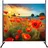 Quick Star Garten-Paravent 178 x 180 cm Mehrfarbig Polyester