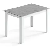 Mondeer Esstisch Esszimmertisch 120 x 80 x 75cm, Grau - Grau