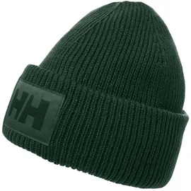 HELLY HANSEN Box Mütze green