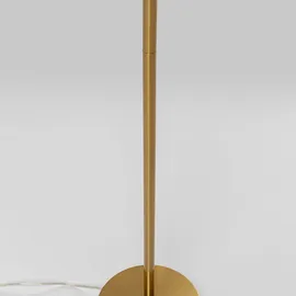 Kare Feather Palm 54549 Braun