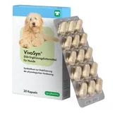 VivoSyn 30 Kapseln