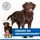 Hill's Science Plan Healthy Mobility Large 2 x 14 kg