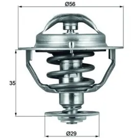 mahle Thermostat, Kühlmittel