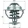 mahle Thermostat, Kühlmittel