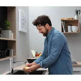 Hansgrohe Focus M43 120 Küchenarmatur Silber