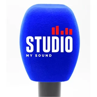 2er-Pack personalisierte Mikrofon-Schaumstoff-Windschutzscheiben mit individuellem Logo für Handmikrofon-Schaumstoff-Abdeckungen Windschutzscheiben mit Logo-Druck für TV-Interview, Rundfunk
