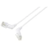 Renkforce RF-6071562 RJ45 Netzwerkkabel, Patchkabel CAT 6 U/UTP 2.00