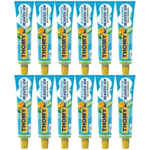 Nestlé Thomy Delikatess Senf mittelscharf pikant gewürzt Tube 200ml 12er Pack