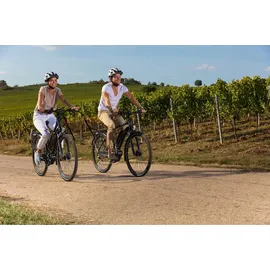 Fischer Viator ETD 1861 2022 28 Zoll RH 44 cm Damen schwarz matt