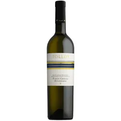 Tolloy Pinot Grigio Alto Adige DOC (2023), Tolloy
