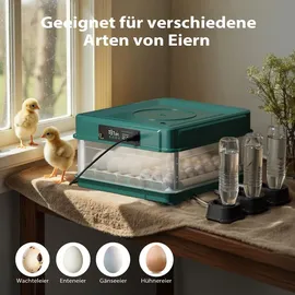 fudajo Vollautomatischer Flächenbrüter für 30 Eier 40 W