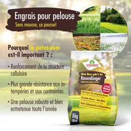 verdurmax® Rasendünger mit Eisen 20 kg