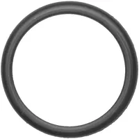 Facet Dichtung, Thermostat (7,9598)
