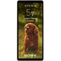 Sony Xperia 5 V 128 GB Platinsilber