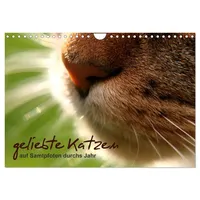 Calvendo geliebte Katzen - auf Samtpfoten durchs Jahr (Wandkalender