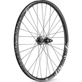 DT Swiss FR 1950 Classic Hinterrad 29" | 30 mm Felgenbreite | 12x150 mm Boost | 6-Loch Disc | Shimano HG und SRAM XD