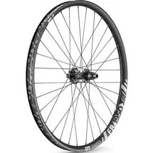 DT Swiss FR 1950 Classic Hinterrad 29" | 30 mm Felgenbreite | 12x150 mm Boost | 6-Loch Disc | Shimano HG und SRAM XD