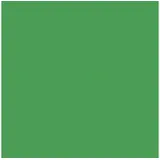 Ludwig Bähr Ursus 3146855 - Faltblätter Intensiv Uni 10x10cm VE=100 Blatt dunkelgrün