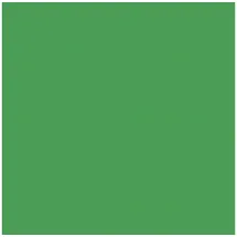 Ludwig Bähr Ursus 3146855 - Faltblätter Intensiv Uni 10x10cm VE=100 Blatt dunkelgrün