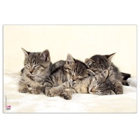 Veloflex Schreibtischunterlage Katzen Kunststoff 60,0 x 40,0 cm, 1 St.