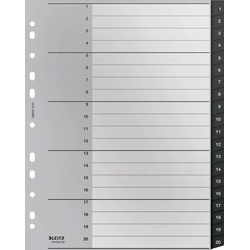 Leitz, Ordner Zubehör, Register Recycle 1-20