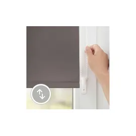 Lichtblick Thermo-Rollo Klemmfix 40 x 150 cm taupe