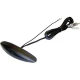 Caliber ANT707C Autoradio-Scheibenantenne