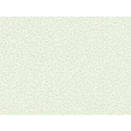 A.S. Création Vliestapete Blooming Blätter glitzer Hellgrün FSC®
