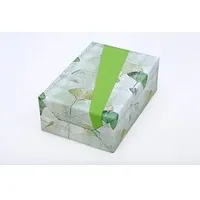 JUNG SCHÖNER VERPACKEN Geschenkpapier Ginkgo mehrfarbig beidseitig bedruckt, 20,0