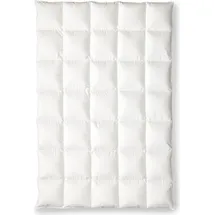OBB Oberbadische Bettfedernfabrik OBB Black Forest Gänsedaunen-Duodecke körpergerechte Steppung Winterdecke Ava warm Größe 155x220 cm