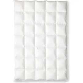 OBB Oberbadische Bettfedernfabrik OBB Black Forest Gänsedaunen-Duodecke körpergerechte Steppung Winterdecke Ava warm Größe 155x220 cm