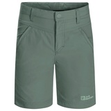 Shorts K Hedge Green 104