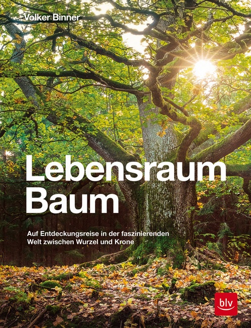 Lebensraum Baum - Volker Binner  Gebunden