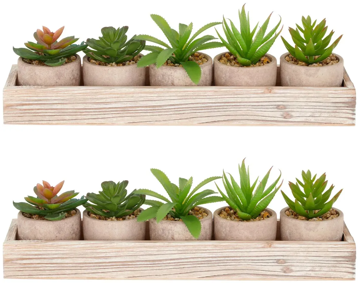 CREATIV green künstliche Pflanze Sukkulenten-Set im Holzkasten 5 Pflanzen 8-10cm im 6x5cm Topf, grün, im 2er Set