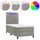 vidaXL Boxspringbett 100 x 200 cm Hellgrau