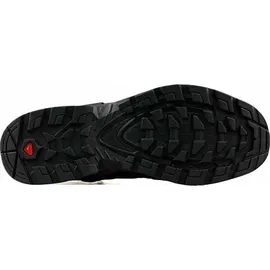Salomon Quest 4 GTX Herren Magnet/Black/Quarry 42 2/3